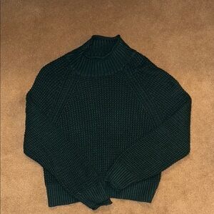 American Eagle Outfitters Dark Green Turtleneck Sweater